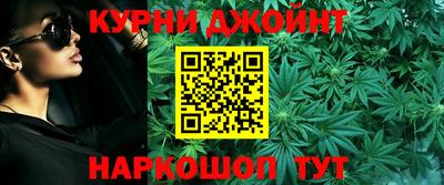 гашик Краснознаменск