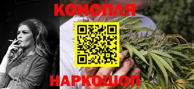 гашик Краснознаменск