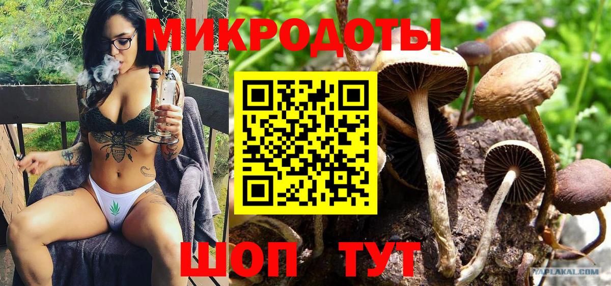 Галлюциногенные грибы Cubensis Знаменск